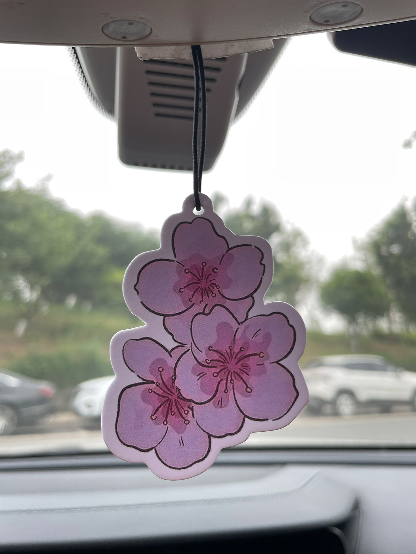 Sakura/Freesia Fresh Scent Fiv - Home Fragrance Non Toxic 评论和价格