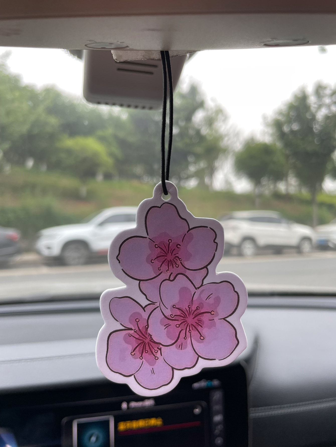Sakura/Freesia Fresh Scent Fiv - Home Fragrance Non Toxic 评论和价格